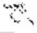 Fig. 08 - STORAGE MEDIUM STORING SPEECH TRANSLATION PROGRAM