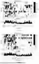 Fig. 06 - METHOD FOR DETECTING COMPLEX TARGET IN PEDESTRIAN RE-IDENTIFICATION VIDEO STREAMS BASED ON EVENT-RELATED POTENTIAL (ERP)