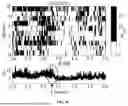 Fig. 07 - METHOD FOR DETECTING COMPLEX TARGET IN PEDESTRIAN RE-IDENTIFICATION VIDEO STREAMS BASED ON EVENT-RELATED POTENTIAL (ERP)
