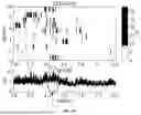 Fig. 08 - METHOD FOR DETECTING COMPLEX TARGET IN PEDESTRIAN RE-IDENTIFICATION VIDEO STREAMS BASED ON EVENT-RELATED POTENTIAL (ERP)