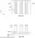 Fig. 10 - SEMICONDUCTOR DEVICE AND METHOD OF MANUFACTURING THE SAME