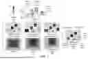 Fig. 09 - TECHNIQUES FOR DETERMINING SETTINGS FOR A CONTENT CAPTURE DEVICE