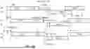Fig. 20 - RADIO ACCESS NETWORKS
