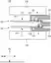 Fig. 01 - RECEPTACLE ASSEMBLY AND CIRCUIT BOARD