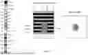 Fig. 09 - FORMATION OF HIGH DENSITY 3D CIRCUITS WITH ENHANCED 3D CONDUCTIVITY