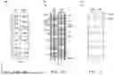 Fig. 02 - STANDARD CELLS WITH MULTI-WELL SIZE PLACEMENTS