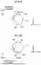 Fig. 08 - SYSTEMS AND METHODS FOR COMBINING FUNDUS IMAGES OF AN EYE