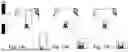 Fig. 15 - PROPHYLACTIC DRESSING