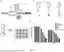 Fig. 02 - HEMOSTATIC COMPOSITION CONTAINING RECOMBINANT HUMAN CLOTTING FACTORS, AND METHOD OF PRODUCING
