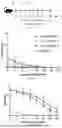 Fig. 02 - DEVELOPMENT OF SYNTHETIC PSEUDAMINIC ACID-BASED ANTIBACTERIAL VACCINES AGAINST ACINETOBACTER BAUMANNII