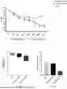 Fig. 04 - VACCINE COMPOSITIONS AND THEIR USE