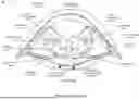 Fig. 04 - VENTRAL SPINAL CORD STIMULATION FOR AT LEAST PARTIAL RESTORATION OF MOTOR FUNCTION