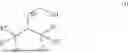 Fig. 03 - PROCESS FOR PREPARING A OXACYLOHEXANE OR OXACYLOPENTANE DERIVATIVE
