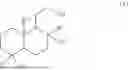 Fig. 14 - PROCESS FOR PREPARING A OXACYLOHEXANE OR OXACYLOPENTANE DERIVATIVE
