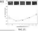 Fig. 05 - Graphitization of Electrospun Polyimide Nanofiber