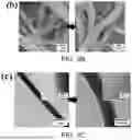 Fig. 08 - Graphitization of Electrospun Polyimide Nanofiber