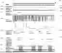 Fig. 01 - CONTENT SUMMARIZATION LEVERAGING SYSTEMS AND PROCESSES FOR KEY MOMENT IDENTIFICATION AND EXTRACTION