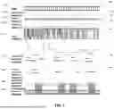 Fig. 02 - CONTENT SUMMARIZATION LEVERAGING SYSTEMS AND PROCESSES FOR KEY MOMENT IDENTIFICATION AND EXTRACTION
