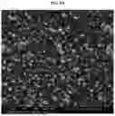 Fig. 07 - NEGATIVE ELECTRODE MATERIAL FOR SECONDARY BATTERY, AND PREPARATION METHOD THEREOF