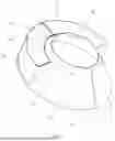 Fig. 03 - MULTIFUNCTIONAL CONTROL ASSEMBLY AND CHARCOAL OVEN