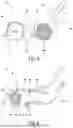 Fig. 04 - CLEANER HEAD FOR A VACUUM CLEANER