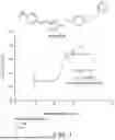 Fig. 02 - Compositions and Methods for the Prevention and Treatment of Hearing Loss