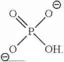 Fig. 71 - HALIDE-FREE AMMONIUM SILANES
