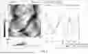 Fig. 07 - THERAPEUTIC DEVICE
