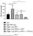 Fig. 06 - RADIOTHERAPIES AND USES THEREOF