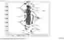 Fig. 38 - GOLF CLUB FITTING SYSTEM AND METHOD