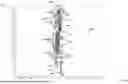 Fig. 42 - GOLF CLUB FITTING SYSTEM AND METHOD
