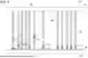 Fig. 06 - LUMBER ASSEMBLY AND FINISHING SYSTEM