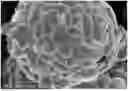 Fig. 01 - AGGLOMERATION-LIKE MULTI-ELEMENT CATHODE MATERIAL, PREPARATION METHOD THEREFOR, AND LITHIUM-ION BATTERY