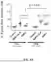 Fig. 08 - METHODS FOR TREATING HEPCIDIN-MEDIATED DISORDERS