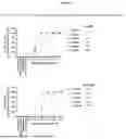 Fig. 05 - HIV Specific Binding Molecules and Uses Thereof