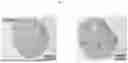 Fig. 06 - HUMAN LIVER-LIKE THREE-DIMENSIONAL STRUCTURE, METHOD FOR EVALUATING HEPATOTOXICITY AND HUMAN LIVER-LIKE COMPLEX