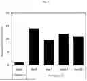 Fig. 08 - HUMAN LIVER-LIKE THREE-DIMENSIONAL STRUCTURE, METHOD FOR EVALUATING HEPATOTOXICITY AND HUMAN LIVER-LIKE COMPLEX
