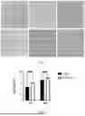 Fig. 03 - Establishment and suspension acclimation of CRFK adherent cell line, and its application