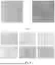 Fig. 04 - Establishment and suspension acclimation of CRFK adherent cell line, and its application