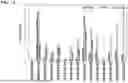 Fig. 40 - CIRCULAR PERMUTANTS, COMPOSITIONS COMPRISING THE SAME, AND METHODS OF USE THEREOF