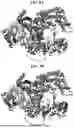 Fig. 44 - CIRCULAR PERMUTANTS, COMPOSITIONS COMPRISING THE SAME, AND METHODS OF USE THEREOF