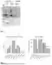 Fig. 03 - CARBON DIOXIDE-CONSUMING EXPRESSION SYSTEM