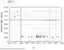 Fig. 02 - DUPLEX STAINLESS STEEL MATERIAL