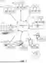 Fig. 02 - OPTICAL SENSOR BASED ITEM DETECTION AND LISTING