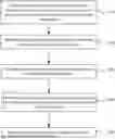 Fig. 01 - Referencing of Anatomical Structure