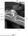 Fig. 03 - Referencing of Anatomical Structure