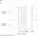 Fig. 04 - METHOD FOR DIAGNOSING CANCER BY USING SEQUENCE FREQUENCY AND SIZE AT EACH POSITION OF CELL-FREE NUCLEIC ACID FRAGMENT
