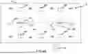 Fig. 13 - MULTIMODALITY HANGING PROTOCOLS