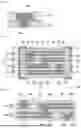 Fig. 09 - LAMINATED COIL COMPONENT