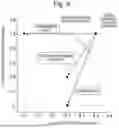 Fig. 05 - Ion Analyzer and Ion Analyzing Method